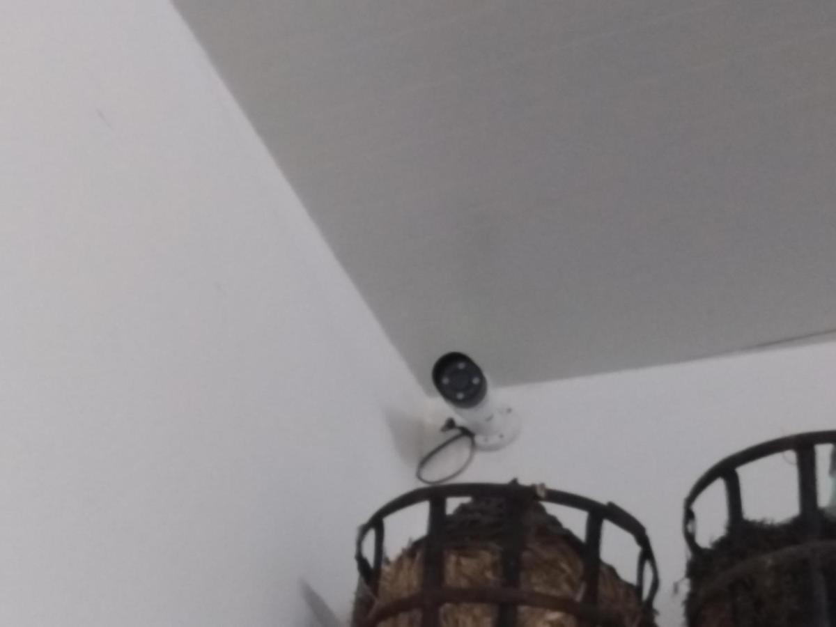 Corvos E Cadavais Villa Almodôvar Dış mekan fotoğraf