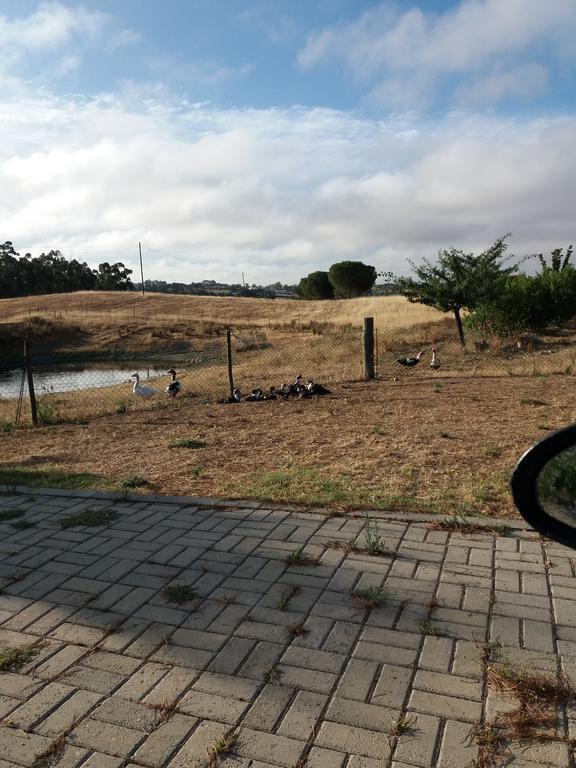 Corvos E Cadavais Villa Almodôvar Dış mekan fotoğraf